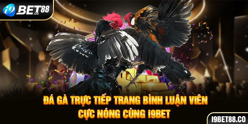 đá gà trực tiếp trang bình luận i9bet