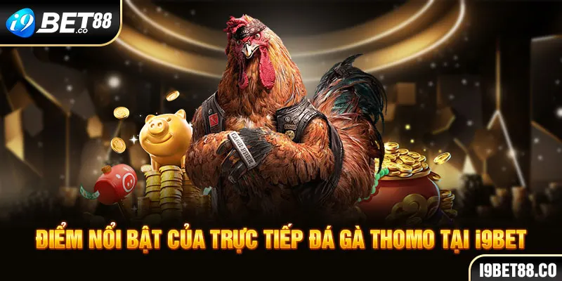 Điểm nổi bật của trực tiếp đá gà thomo tại i9Bet