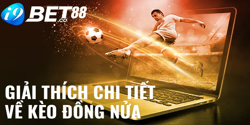 Giải thích chi tiết về kèo đồng nửa