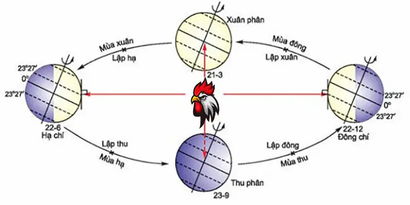 Xem hôm nay đá gà gì dựa theo mùa